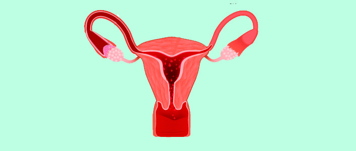 Benessere Femminile Sangrado-vaginal La metrorragia: cos'è e come curarla 